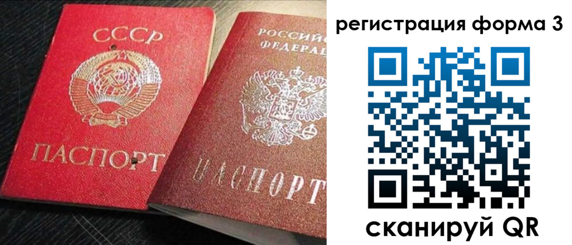 прописка для школы в Шлиссельбурге
